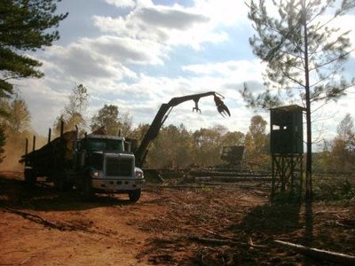 Deer Stand.JPG