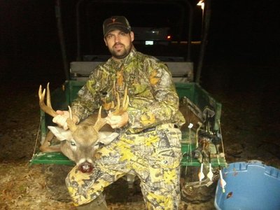 8pt gfp.jpg