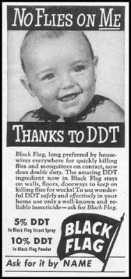 DDT.jpg