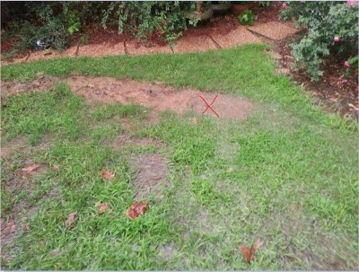 drainage4.JPG