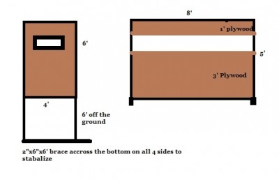 blinds.jpg