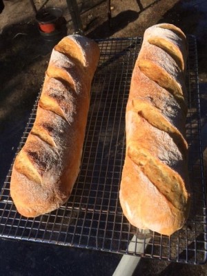 bread.jpg