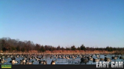 20121611_10212192382876315_893473929903298253_o.jpg